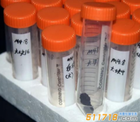 儀器探究新發(fā)現(xiàn) 周代化妝品含植物精油