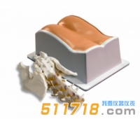 美國CIRS 034腰椎穿刺訓(xùn)練模體