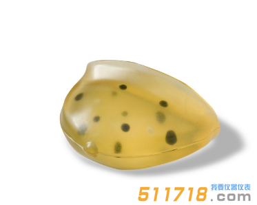 美國(guó)CIRS 013胸部體模