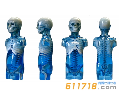 美國(guó)CIRS 715兒科全身體模