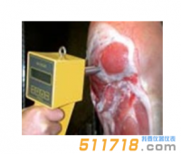 德國MATTHAUS PH-STAR胴體肌肉PH值直測儀