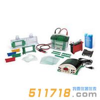 美國伯樂Bio-Rad 1658033垂直電泳轉(zhuǎn)印系統(tǒng)套裝