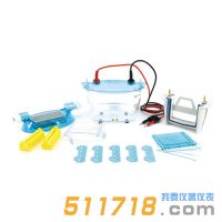 北京六一 DYCZ-24K、DYCZ-24KS型雙板垂直電泳儀