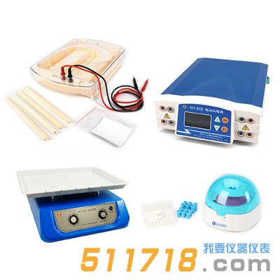 北京六一 泳強(qiáng)快速蛋白電泳檢測系統(tǒng)