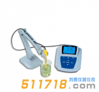 MP515-01電導(dǎo)率儀