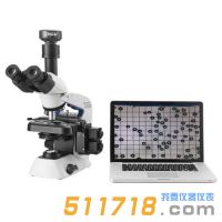 歐美克 PIP9.1型顆粒圖像處理儀