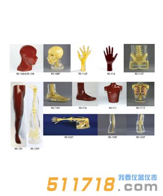 美國(guó)RSD 人體部分模體