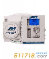 美國(guó)AMI 2010BX痕量氧分析儀