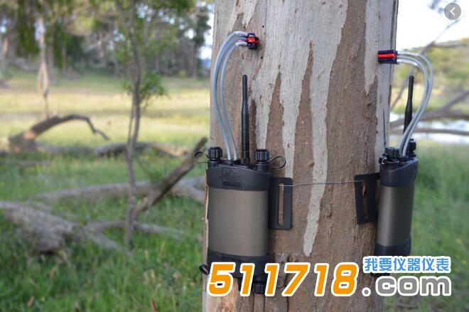 SFM1 Sap植物莖流計(jì).jpg